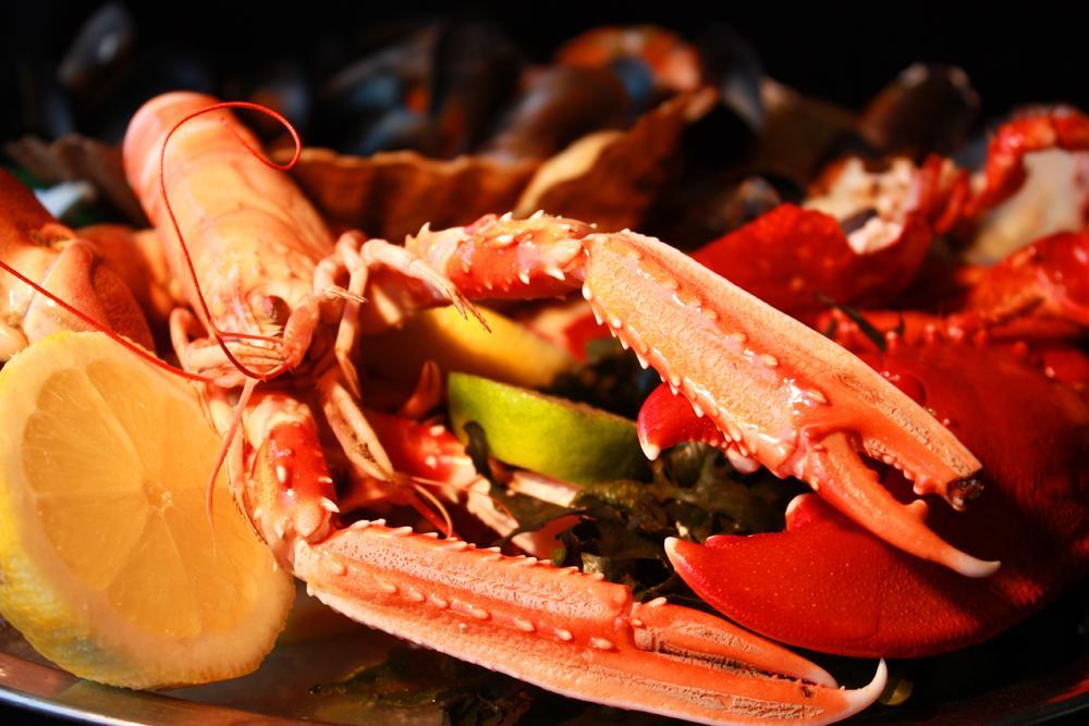 Oyster Inn Connel Oban Εξωτερικό φωτογραφία